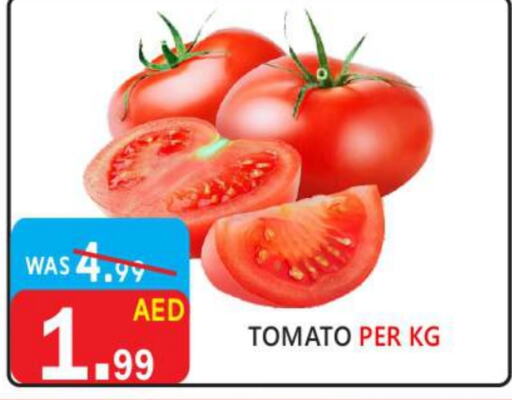  Tomato  in United Hypermarket in UAE - Dubai