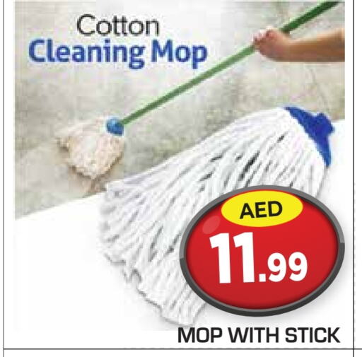  Cleaning Aid  in Baniyas Spike  in UAE - Ras al Khaimah