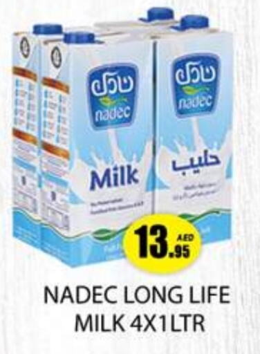 NADEC Long Life / UHT Milk  in Zain Mart Supermarket in UAE - Ras al Khaimah