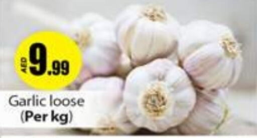  Garlic  in Gulf Hypermarket LLC in UAE - Ras al Khaimah