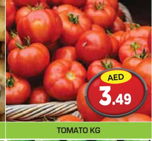  Tomato  in Baniyas Spike  in UAE - Abu Dhabi