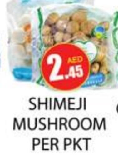  Mushroom  in Zain Mart Supermarket in UAE - Ras al Khaimah