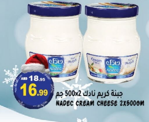 NADEC Cream Cheese  in Hashim Hypermarket in UAE - Sharjah / Ajman