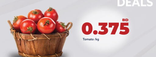  Tomato  in Midway Supermarket in Bahrain