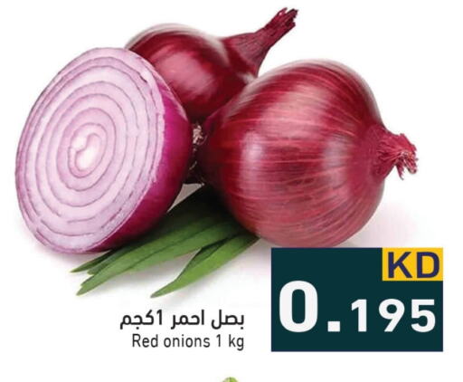  Onion  in Ramez in Kuwait - Ahmadi Governorate