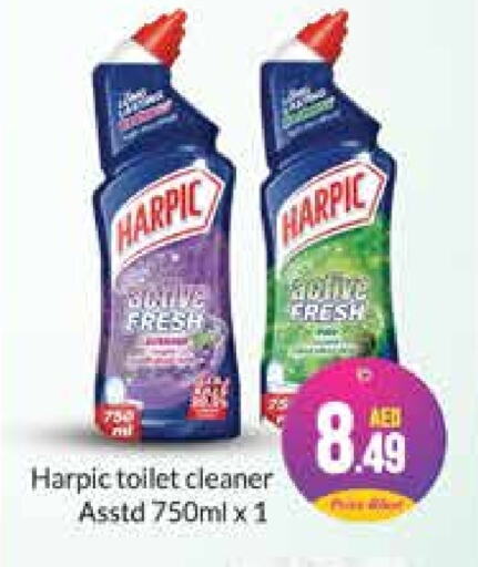 HARPIC Toilet / Drain Cleaner  in Azhar Al Madina Hypermarket in UAE - Abu Dhabi