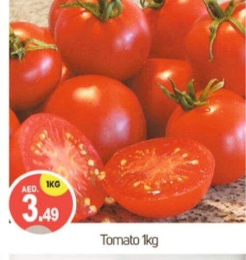  Tomato  in TALAL MARKET in UAE - Dubai