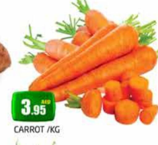  Carrot  in PASONS GROUP in UAE - Dubai