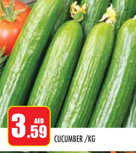  Cucumber  in Baniyas Spike  in UAE - Abu Dhabi