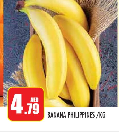  Banana  in Baniyas Spike  in UAE - Abu Dhabi