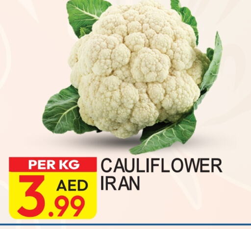  Cauliflower  in Dream Land in UAE - Dubai