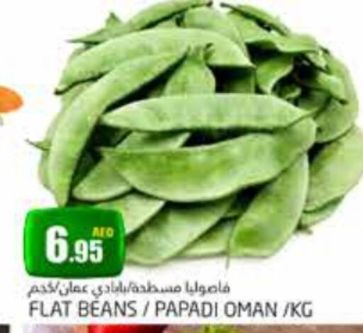  Beans  in PASONS GROUP in UAE - Dubai