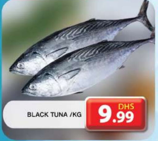  Tuna  in Grand Hyper Market in UAE - Dubai