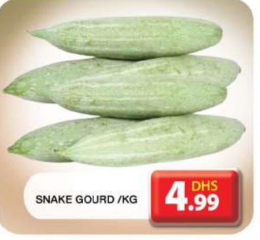  Gourd  in Grand Hyper Market in UAE - Dubai