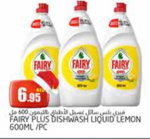 FAIRY   in PASONS GROUP in UAE - Dubai