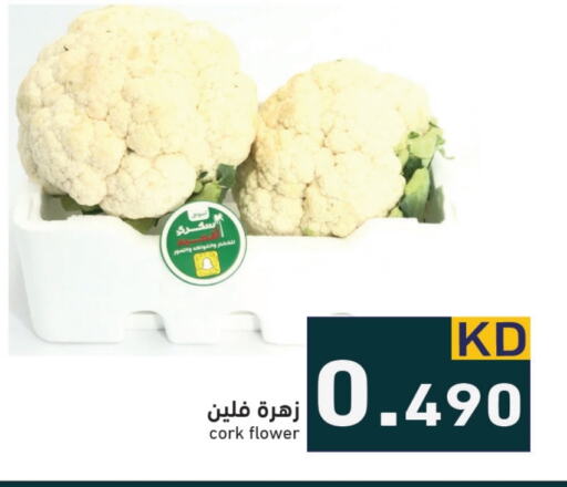  Cauliflower  in Ramez in Kuwait - Ahmadi Governorate