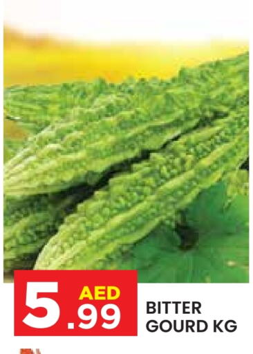  Bitter Gourd  in Baniyas Spike  in UAE - Abu Dhabi