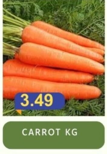  Carrot  in Majestic Supermarket in UAE - Abu Dhabi