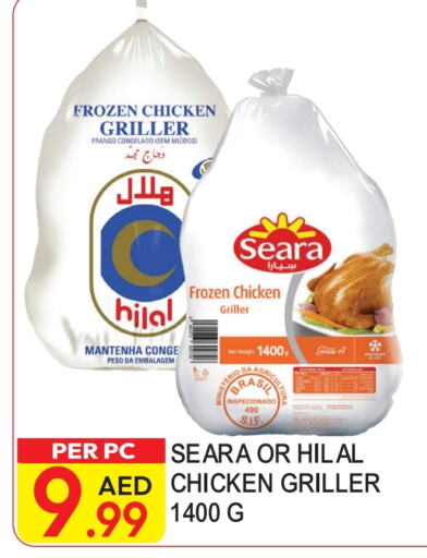 SEARA Frozen Whole Chicken  in Dream Land in UAE - Dubai