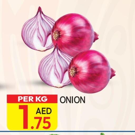  Onion  in Dream Land in UAE - Dubai