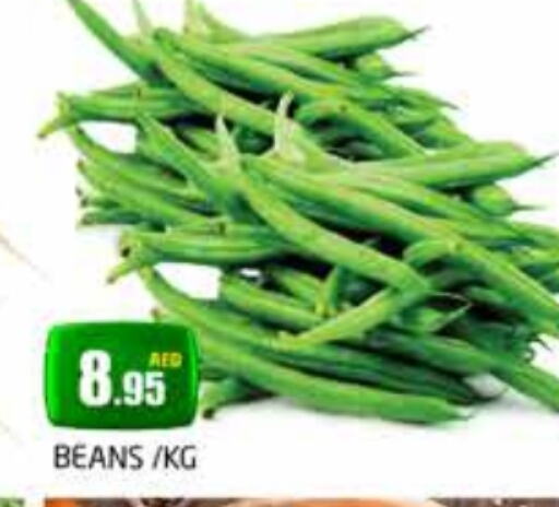  Beans  in PASONS GROUP in UAE - Dubai