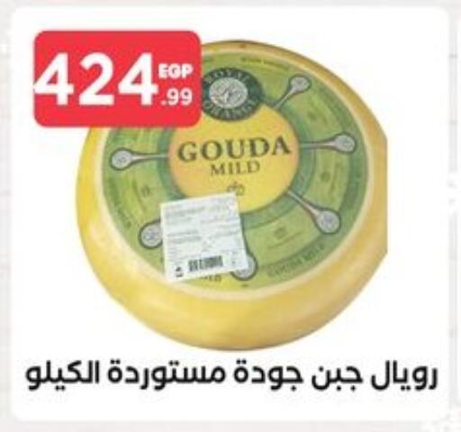  Gouda  in MartVille in Egypt - Cairo