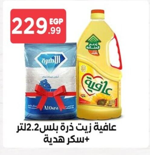 AFIA Corn Oil  in El Mahlawy Stores in Egypt - Cairo