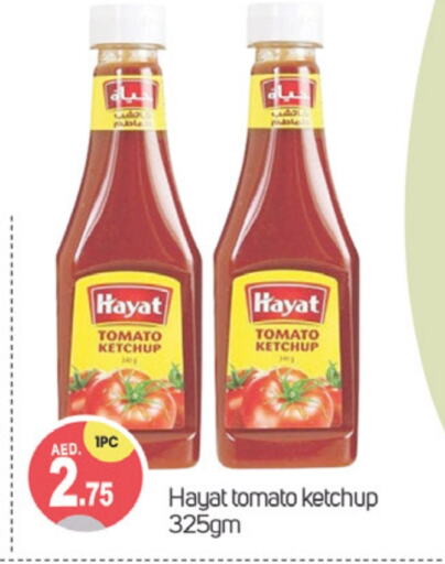 HAYAT Tomato Ketchup  in TALAL MARKET in UAE - Dubai