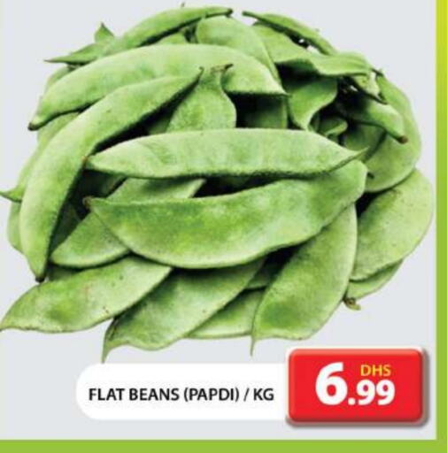  Beans  in Grand Hyper Market in UAE - Dubai