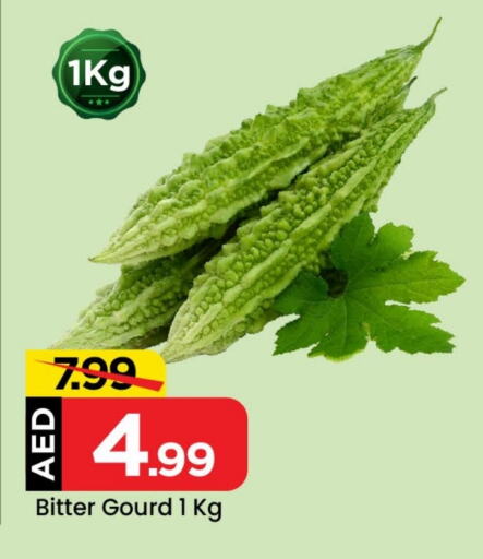  Gourd  in Mark & Save Value Retail in UAE - Dubai