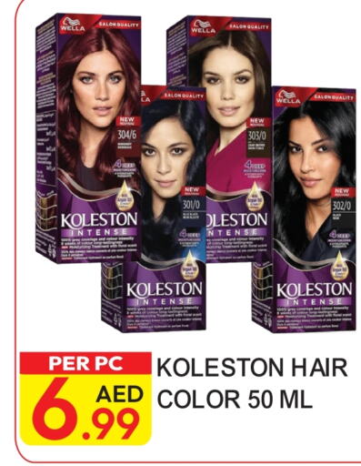 KOLLESTON Hair Colour  in Dream Land in UAE - Dubai