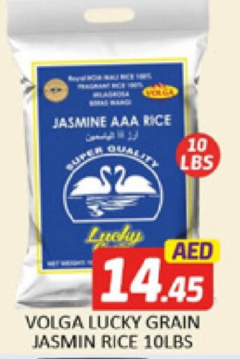 VOLGA Jasmine Rice  in Al Madina  in UAE - Dubai