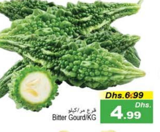  Gourd  in PASONS GROUP in UAE - Fujairah