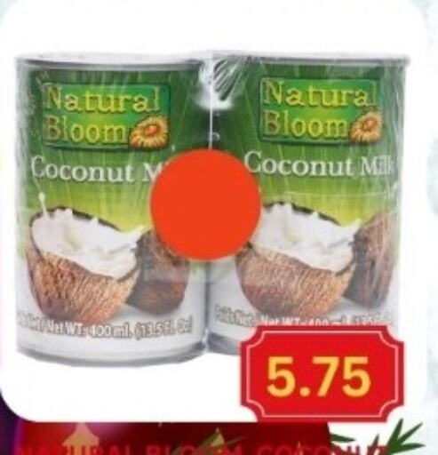  Coconut Milk  in Majestic Supermarket in UAE - Abu Dhabi