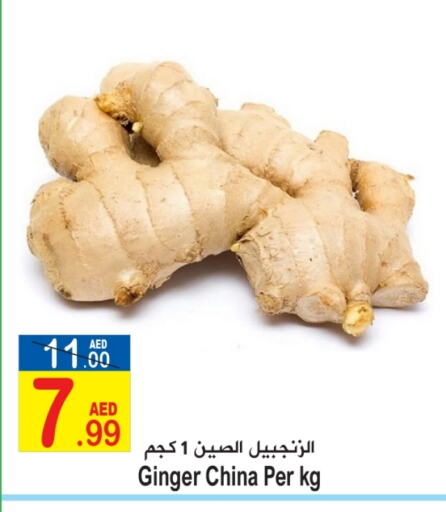  Ginger  in Sun and Sand Hypermarket in UAE - Ras al Khaimah