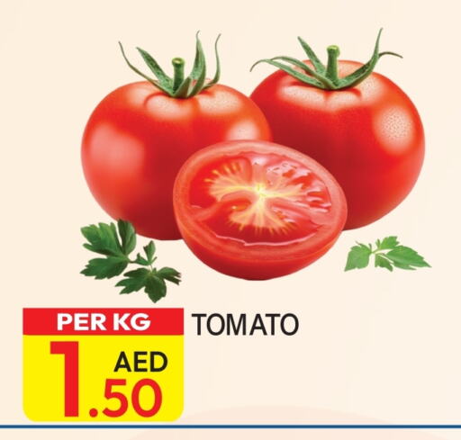  Tomato  in Dream Land in UAE - Dubai