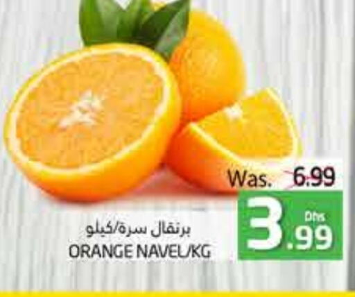  Orange  in PASONS GROUP in UAE - Al Ain