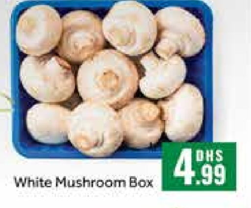  Mushroom  in Mango Hypermarket LLC in UAE - Dubai