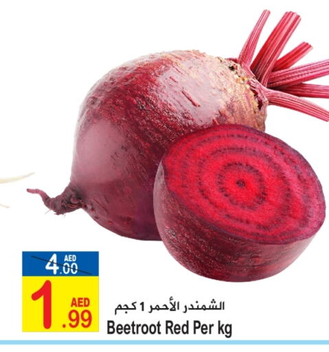  Beetroot  in Sun and Sand Hypermarket in UAE - Ras al Khaimah