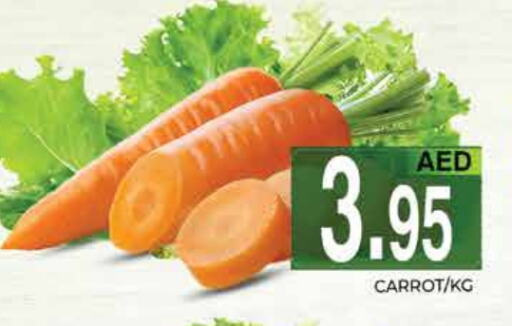  Carrot  in PASONS GROUP in UAE - Dubai