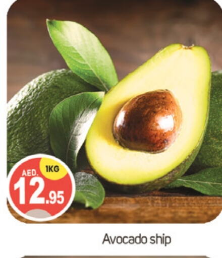  Avacado  in TALAL MARKET in UAE - Dubai