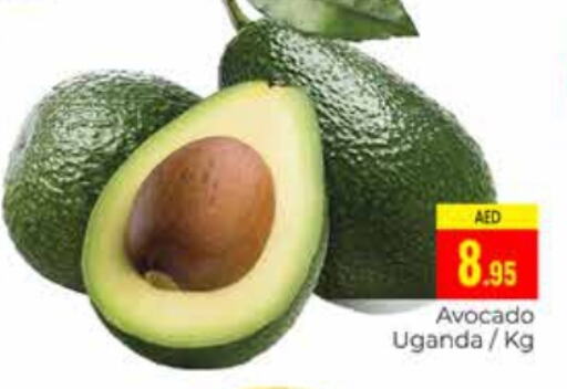  Avacado  in PASONS GROUP in UAE - Dubai