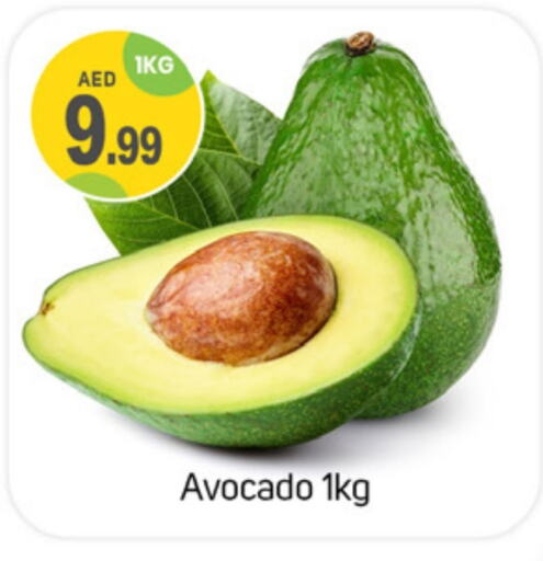  Avacado  in TALAL MARKET in UAE - Dubai