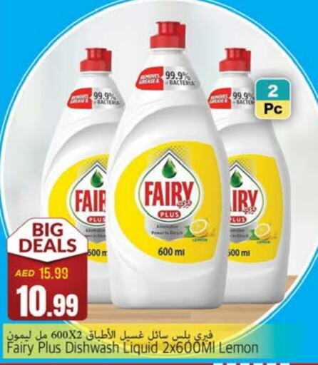 FAIRY   in PASONS GROUP in UAE - Fujairah