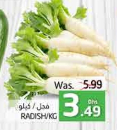  Radish  in PASONS GROUP in UAE - Al Ain