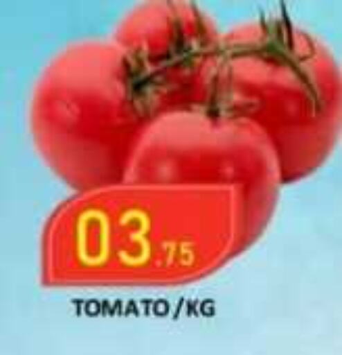  Tomato  in ROYAL GULF HYPERMARKET LLC in UAE - Abu Dhabi