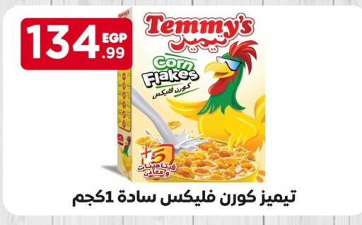 TEMMYS Corn Flakes  in MartVille in Egypt - Cairo