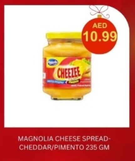  Cheddar Cheese  in Carryone Hypermarket in UAE - Abu Dhabi