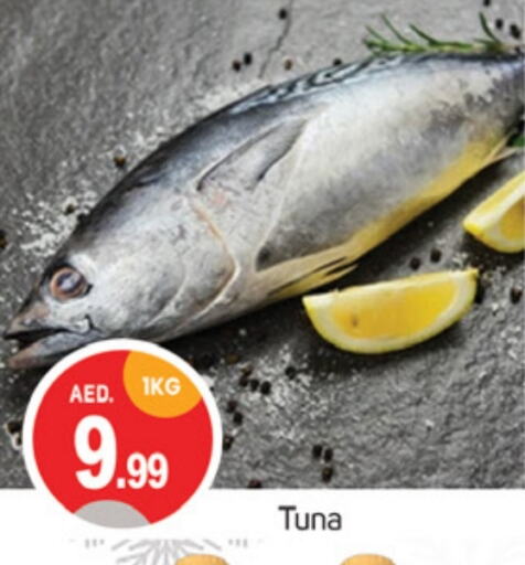  Tuna  in TALAL MARKET in UAE - Dubai