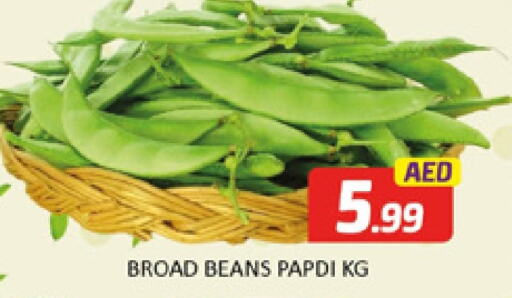  Beans  in Al Madina  in UAE - Dubai